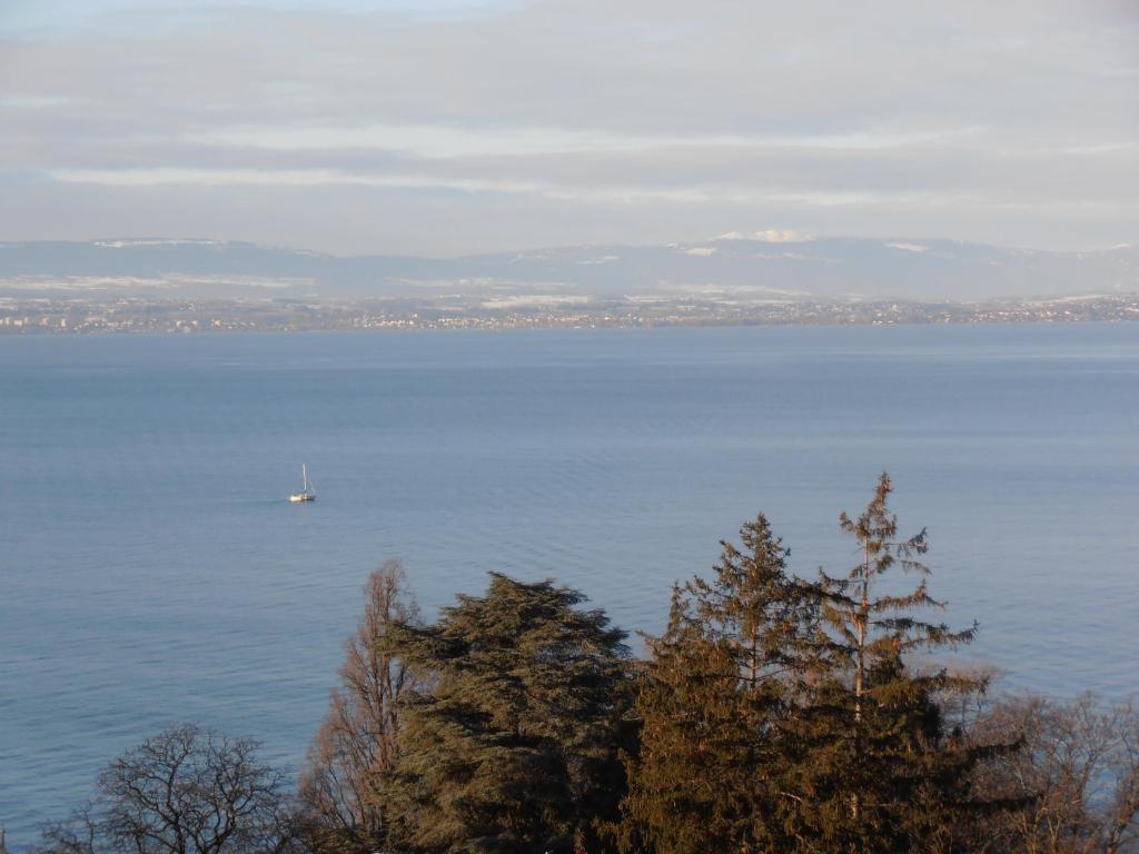 Hotel Evian Express - Terminus Номер фото